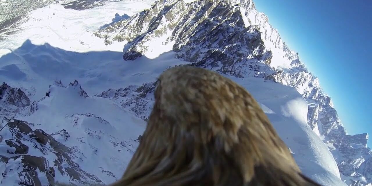 El Mont Blanc desde la perspectiva de un águila