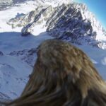 El Mont Blanc desde la perspectiva de un águila