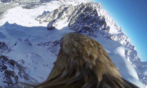 Mont Blanc Archivos El Mont Blanc Ascensiones Rutas V as Material Mont Blanc Archivos El Mont Blanc Ascensiones Rutas V as Material